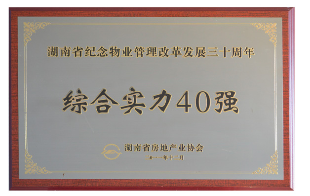 2011��ҵ�����ĸ﷢չ��ʮ�����ۺ�ʵ��40ǿ